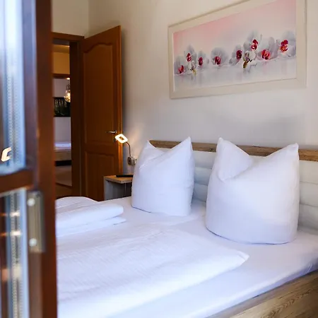 Alpen-residence 公寓 *